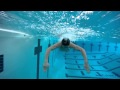 Butterfly Swimming Technique - How to swim butterfly ...