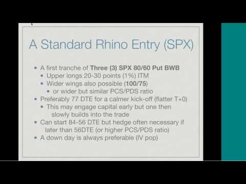 Round Table with Bruno Voisin - The Rhino Trade - July 12, 2017