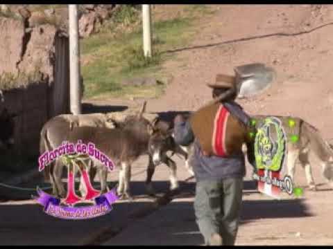 florcita de sucre Cristal Vaso (huayno con arpa y violin)