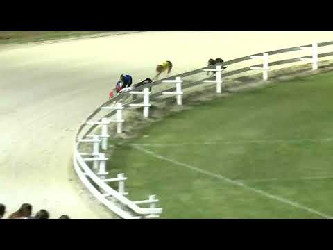 2022.09.11. 17. futam - Európa Derby Invitation