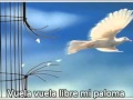 Vuela Libre paloma Man Drama y Luz 2011 1 ...