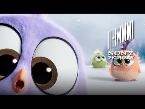 Angry Birds (Viral Video 'Season's Greetings from the Hatchlings!')