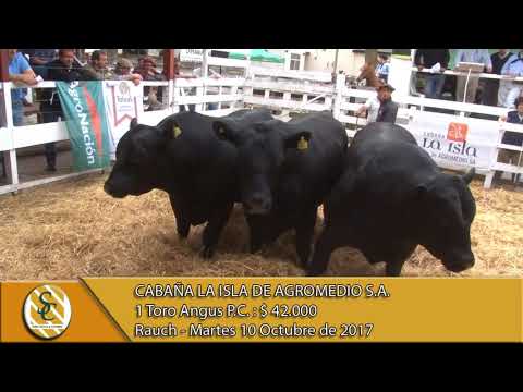 10-10-17 Venta de Toros P.C. - Cabaña La Isla - Rauch.
