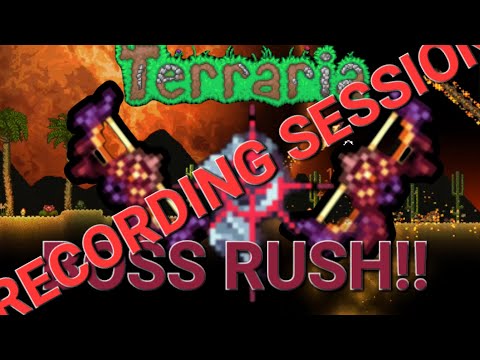 Terraria: Boss Rush vs the Aerial Bane Recording Session!!