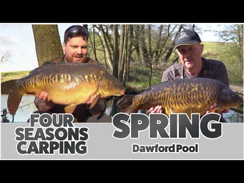 ** CARP FISHING * FOUR SEASONS CARPING ( SPRING ) DAWFORD POOL