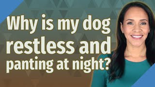 Why is my dog restless and panting at night?