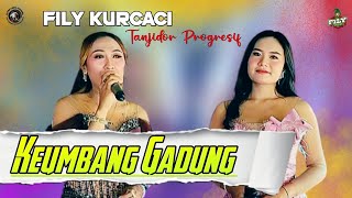 Download lagu KEUMBANG GADUNG. FILY KURCACI LIVE KP PASIR KUNCI mp3