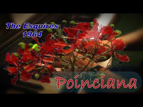 The Esquires 1964 - Poinciana