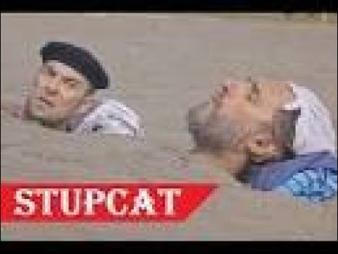 STUPCAT - Shakaxhi edhe ne jeten e perditshme 2018 Humor