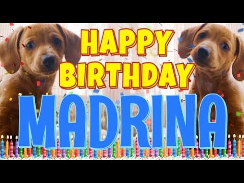 Happy Birthday Madrina! ( Funny Talking Dogs ) What Is Free On My Birthday