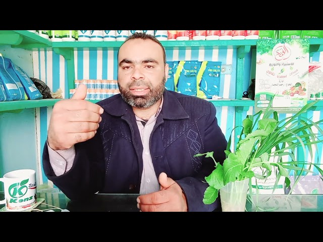 شركة رش مبيدات الرياض والخدمات التي تقدمها الشركة