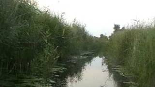 preview picture of video 'Kherson, Dnepr River Delta (09 / 05)'