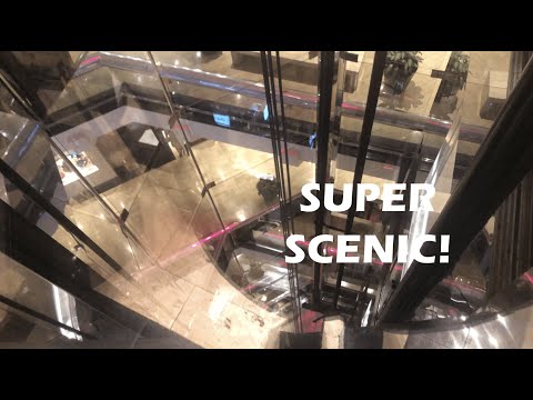 Beautiful Otis Scenic Traction Mall Elevators - Water Tower Place in Chicago, IL