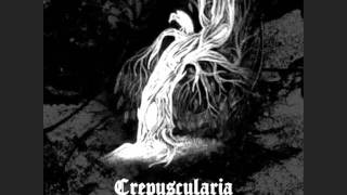 crepusculiara(russia) -    lovelorn rhapsody (anathema cover).wmv