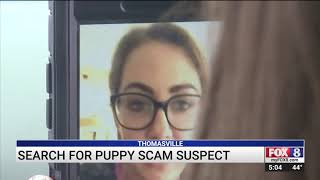 Officials search for puppy scam suspect