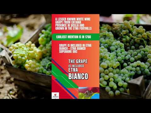 How to Pronounce Minella Bianco #howtopronounce #italy #wine