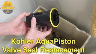 Kohler AquaPiston Valve Seal Repair