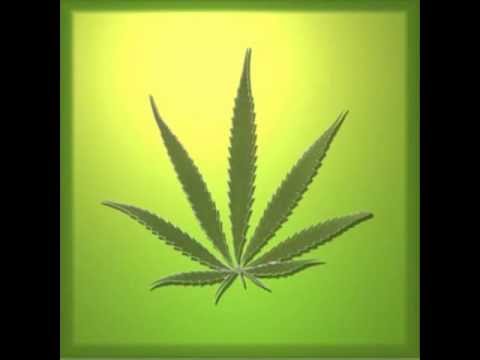 download lagu mp3 mp4 Hollywood La Mota, download lagu Hollywood La Mota gratis, unduh video klip Hollywood La Mota