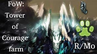 FoW ToC farm R/Mo [Guild Wars]