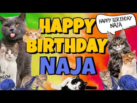 Happy Birthday Naja! Crazy Cats Say Happy Birthday Naja (Very Funny)