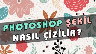 Photoshop Şekil Çizme Nasıl Yapılır? Photoshop Custom Shape ve Rectangle Tool Kullanımı | 39. ders