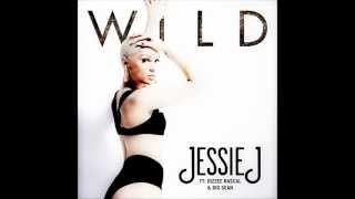 Jessie J Wild ft big sean,Dizzee Rascal