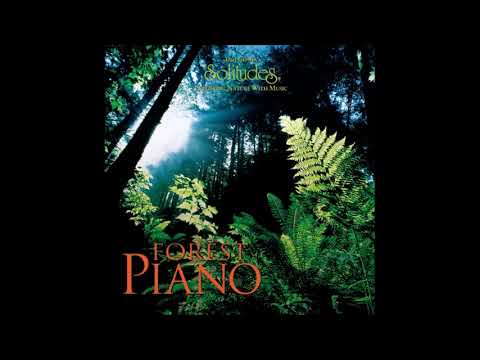 Forest Piano - Dan Gibson & John Herberman