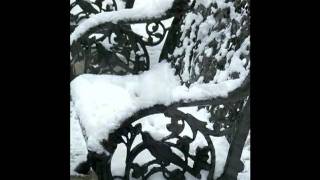 Winter In July - Sarah Brightman (Missouri Botanical Gardens)