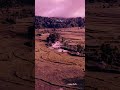 Khayalon Ka Shehar Hawayein Arijit Singh Status WhatsApp Status