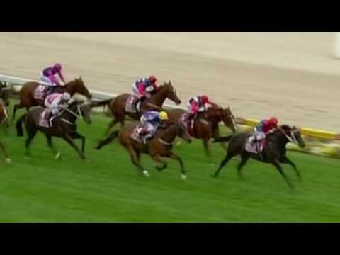 The Contenders - Black Heart Bart & Lucia Valentina.