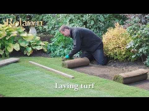 How To Lay Turf [Expert Guide]