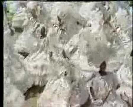 portela 1985 recordar é viver