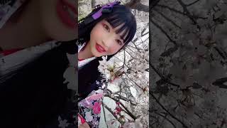 桜満開? #桜 #shorts #tiktok