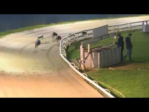 2017 RPGTV HENLOW DERBY - HEAT 4 - T2 BOCKOS ALFIE