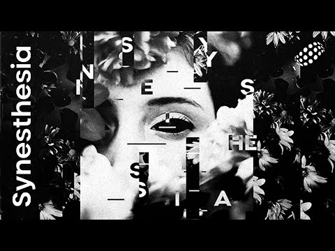 Homex - Air Hoods (Official Audio) Synesthesia