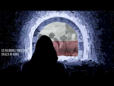 Projekt MiM "Hydroponiczny" (lyrics video)