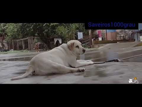 Saveiro G5 Cross vermelha aro 18 suspensão fixa