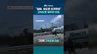 덤벼라, 속도로 이겨주마... 태국서 고속도로 질주한 타조 #JTBC #Shorts