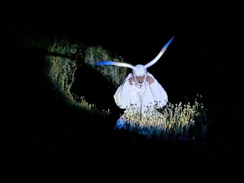 menplantroses - Todo o Nada