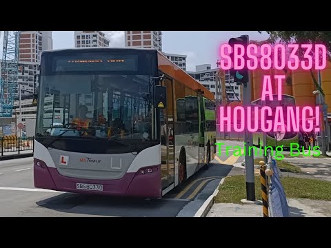 SBS8033D AT HOUGANG AS TRAINING BUS!