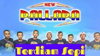 Download lagu New Pallapa - Terdiam Sepi ( Elsa Amelia ) // Parakan - Temanggung 2019 mp3