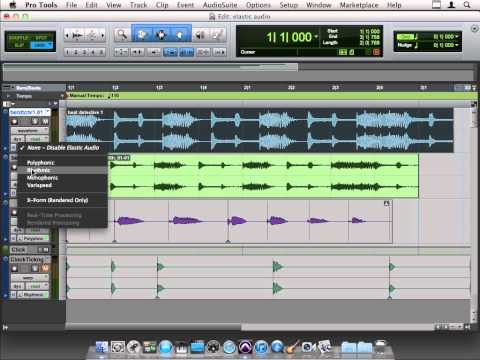 Avid Pro Tools 10 Tutorial | Elastic Audio on a Drum Loop