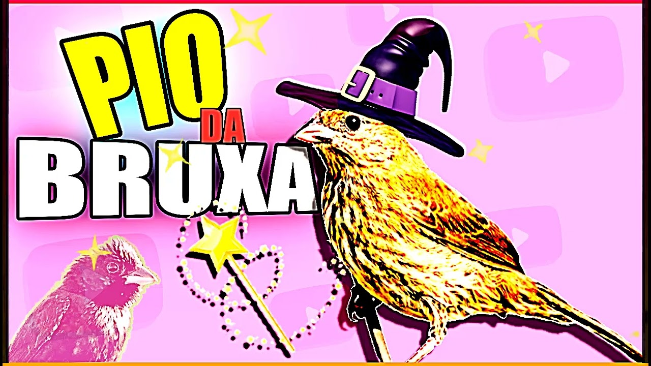 🔥DEIXE LOUCO seu Tiziu com o Pio da Fêmea Bruxa