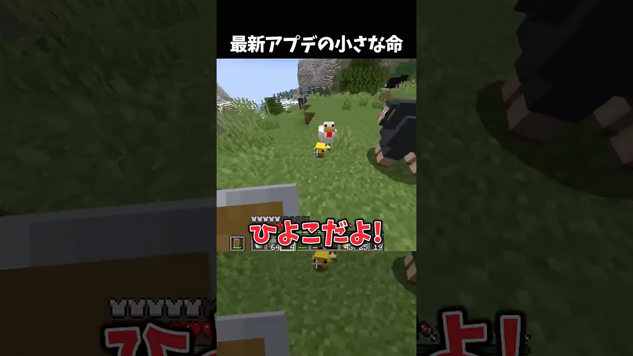 【 #マイクラ 】アプデ後実装されたひよこに大はしゃぎしてみた #shorts