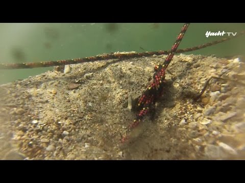 Anchor test: 6 anchors have to show what they can hold - Flensburg Fjord - YACHT tv, Sailing