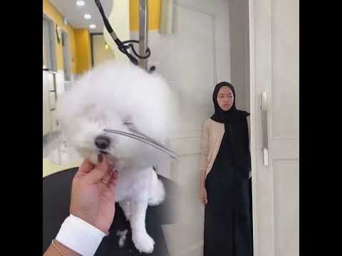 Thank you for watching, thank you for liking, I wish you happiness. #pov #foryou #storytime #fyp