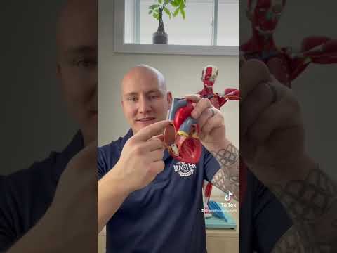 Quick Recap of Inotropy, Dromotropy, and Chronotropy #paramedic #paramedicstudent #emt #emtstudent