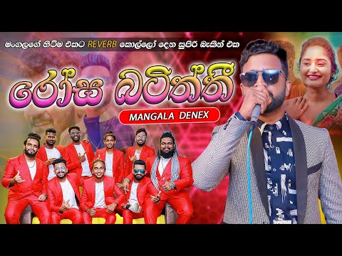 Rosa Batiththi Mangala Denex with Reveb |  බණ්ඩාරගම රිවබ් මංගලගේ රෝස බටිත්තිට දුන්න පට්ට බැකින් එක