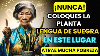 ¡CUIDADO! NO pongas la Planta LENGUA DE SUEGRA Aquí ¡Atrae Pobreza! | Consejos Budistas
