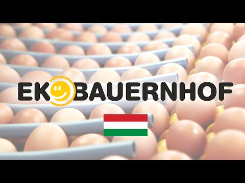 A pinwormnek színtelen tojása van a paraziták testének tisztítása receptek
